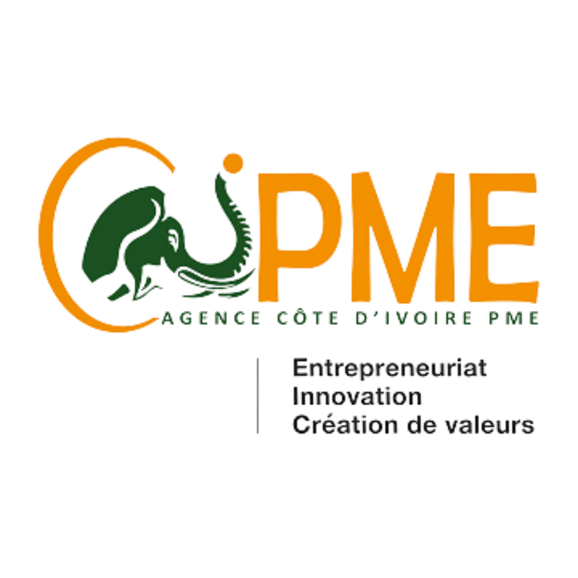 Agence Côte d'Ivoire PME